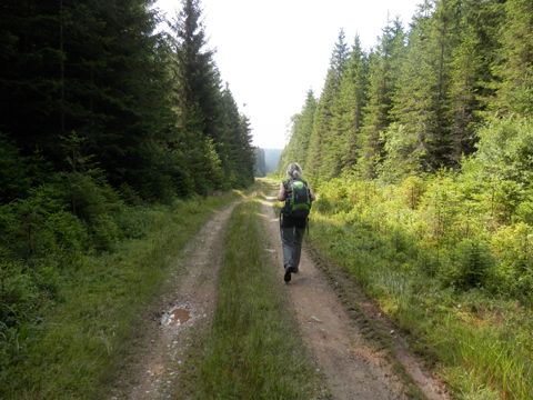 Foto 91
